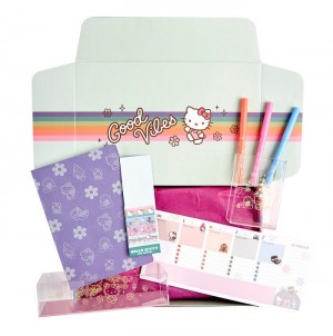 Multicolor Hello Kitty Hello Kitty x Erin Condren Special Edition Gift Box | NZ_HK19489