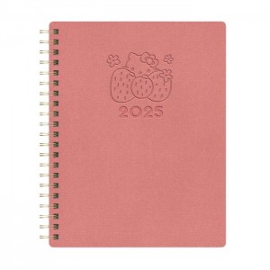 Pink Hello Kitty Hello Kitty x Studio Oh! 2025 Desert Adventure Baxter Planner | NZ_HK37723